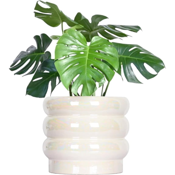 8 Inch Ceramic Plant Pot with Drainage Hole White Medium