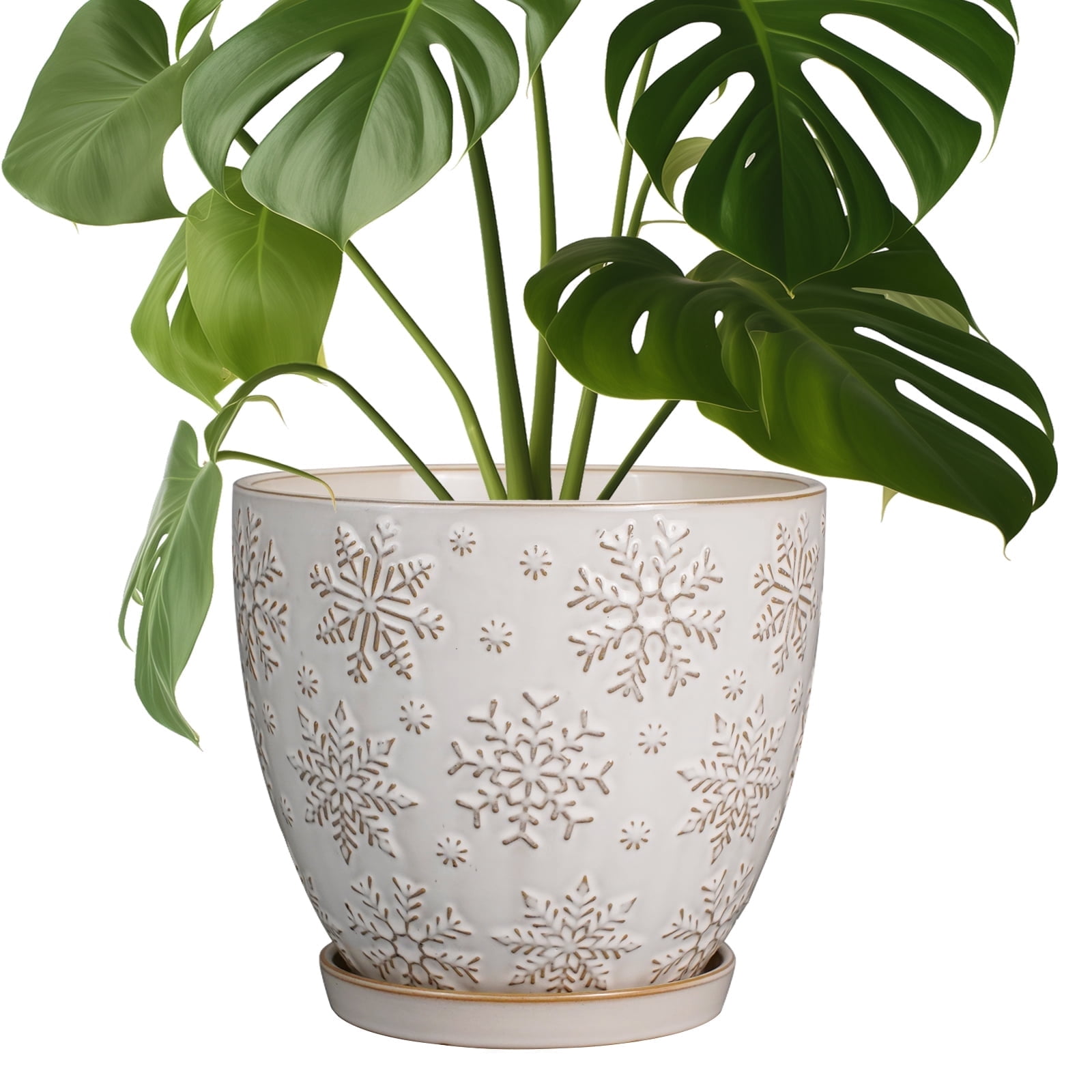 Ceramic Planter With Drainage