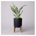 8 Inch Ceramic Planter with Natural Wood Stand and Drainage Saucer ...