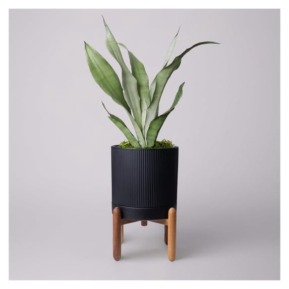 8 Inch Ceramic Planter with Natural Wood Stand and Drainage Saucer ...