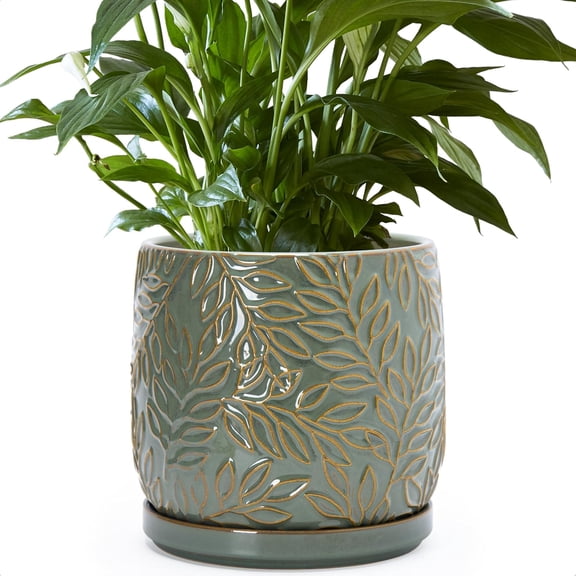 8 Inch Embossed Leaf Stoneware Planter Pot with Drainage Hole and Saucer in Olive