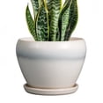 thumbnail image 1 of Ordivic 8 inch Cream White Ceramic Decorative Planter with Drainage Hole & Saucer, Modern Indoor Pot for Herbs & Living Room,Office Desk Decor, 1 of 7