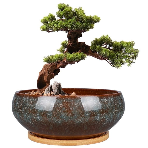Bonsai Pot 8 inch Ceramic Shallow Round Planter with Drainage & Saucer, Flower Pots for Succulents & Indoor Plants Home Office Decor Brown
