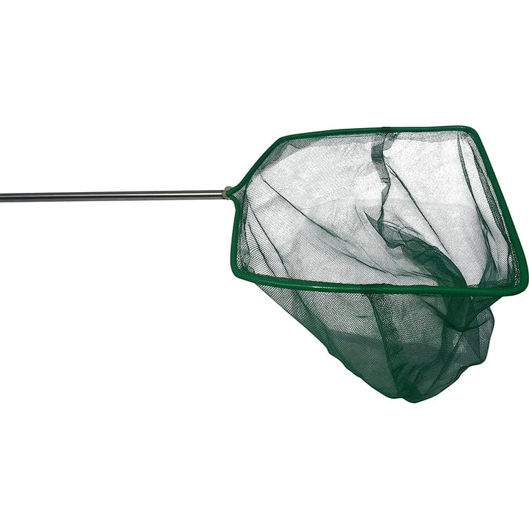 https://i5.walmartimages.com/seo/8-Inch-Head-Large-Aquarium-or-Fish-Pond-Soft-Mesh-Fish-Catching-Net-with-22-Inch-Long-Handle-Safely-Transfer-Fish-or-Skim-Debris_974bb160-879d-472b-b57f-6c401e0f7344.76331db464d2819083b6f6a3fe7e6690.jpeg?odnHeight=768&odnWidth=768&odnBg=FFFFFF