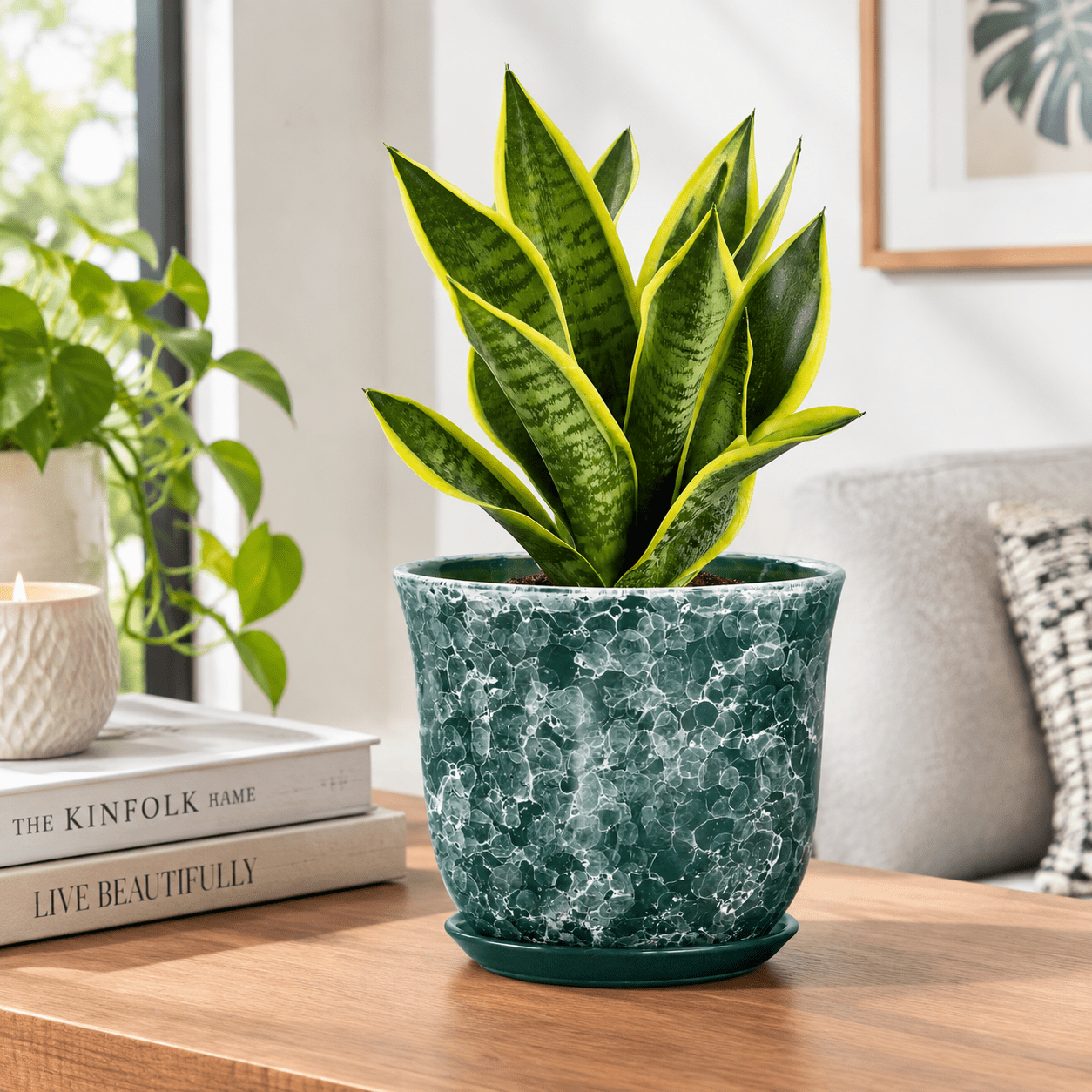 8 Inch Plant Pot - Ceramic Planter With Drainhole And Saucer Round For ...