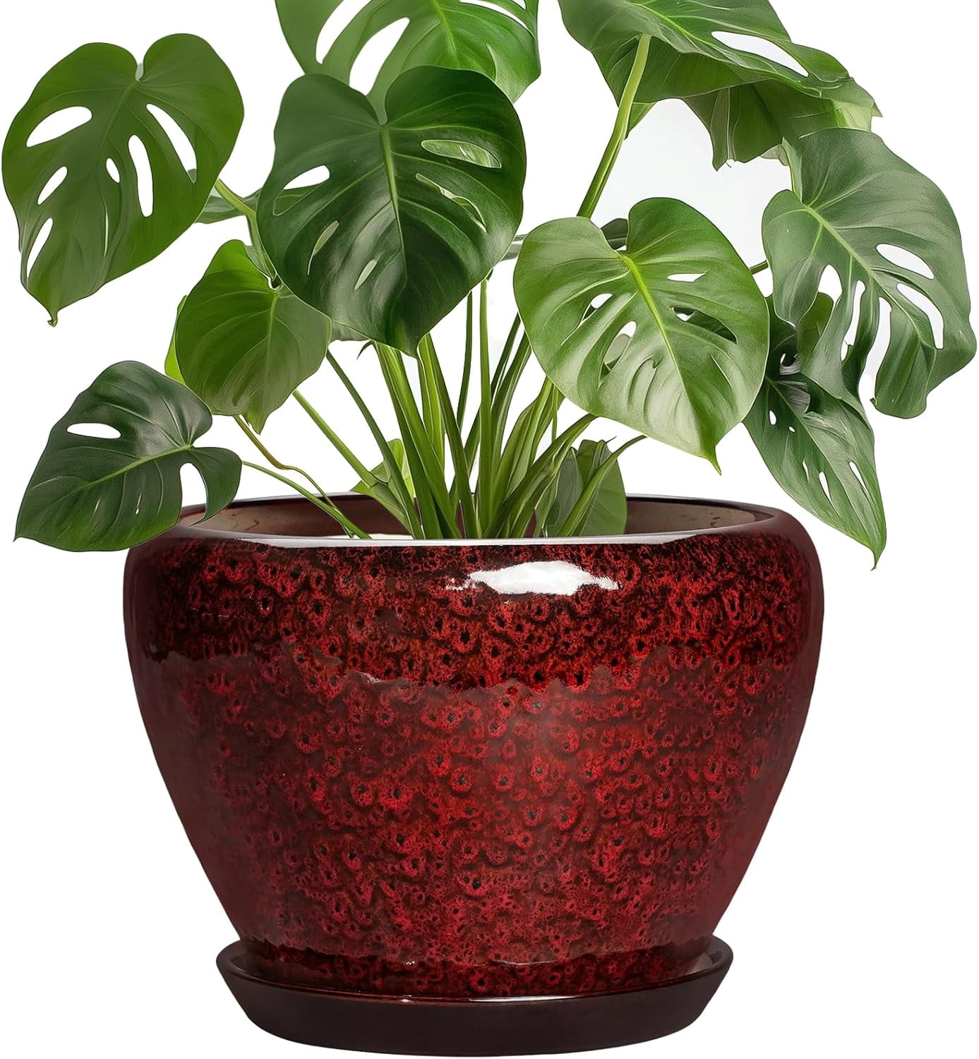 8 Inch Planter - Ceramic Plant Pots with Drainage Hole and Saucer, Decorative Plant Pots for Indoor Plants Outdoor, Round Planter, Modern Office Decor, Gifts for Gardeners, Red Leopard