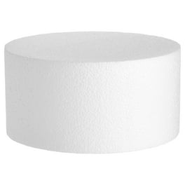 4 Tiers Foam Round Shape Mini Cake Dummy Set Foam for Crafts, White, 5 to 8  inch