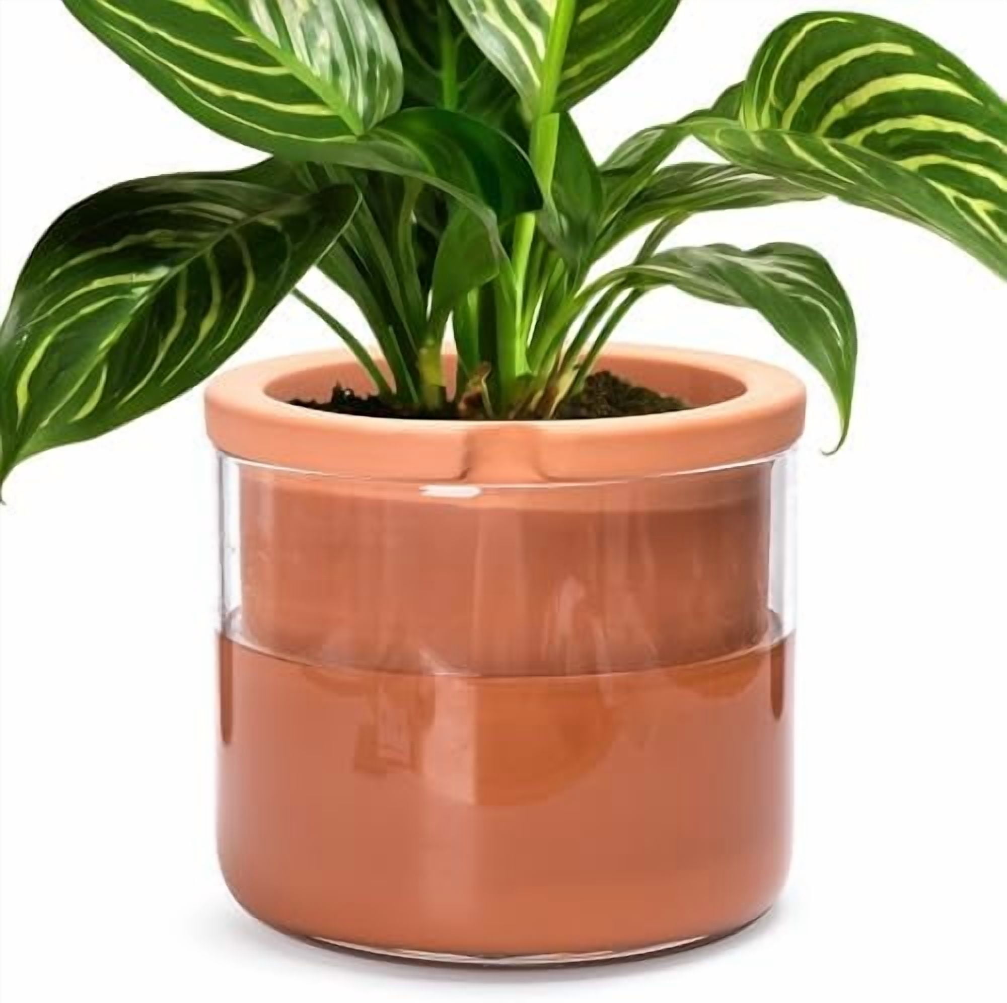 8 Inch Self Watering Planter Pots, Design White Terracotta Pots for Plants, Indoor Cylinder Terra Cotta Pots with Glass Vase, Set of 1, 51-A-H-1