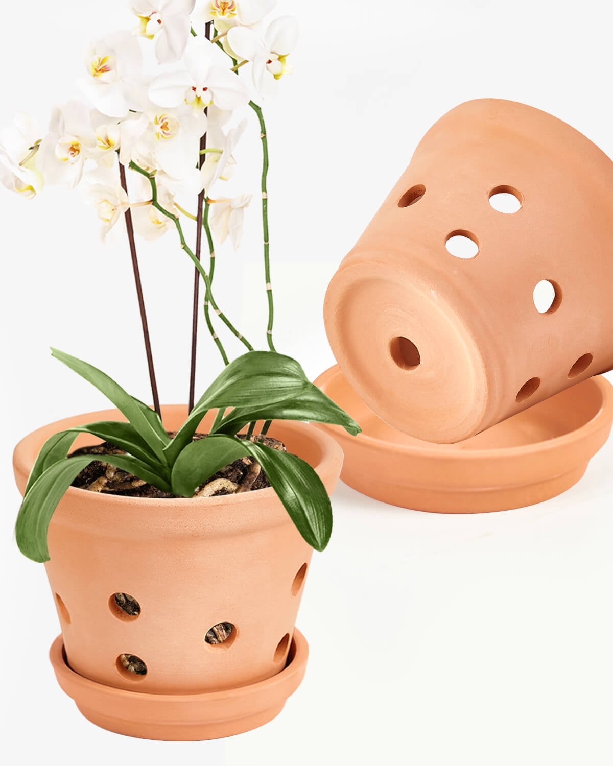 8 Inch Terracotta Orchid Pots with Holes and Saucers - 2 Pcs Large Clay ...