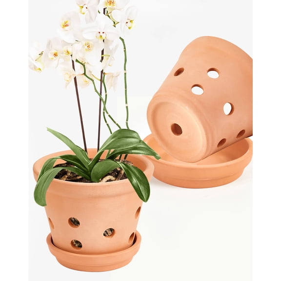 8 Inch Terracotta Orchid Pots with Holes and Saucers - 2 Pcs Large Clay Planters for Repotting, Terra Cotta Pot for Plants Indoor and Outdoor Promotes Air Circulation