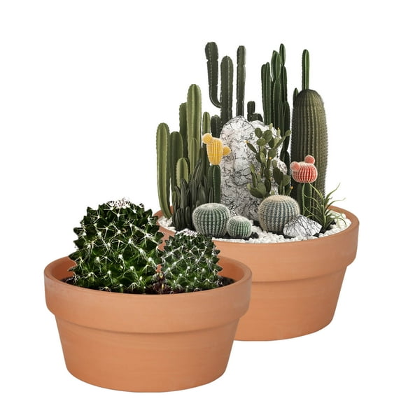 8 Inch Terracotta Shallow Succulent Pot - 2 Pack Large Terra Cotta Clay Pots with Drainage, Cacuts Terra-Cotta Indoor and Outdoor Planters with Drainage Hole