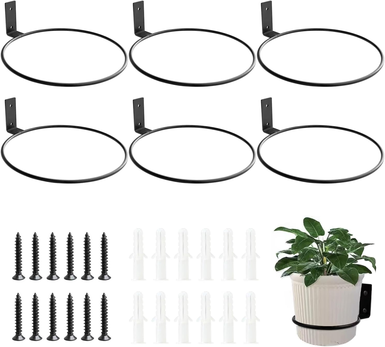 8 Inch Wall Mounted Plant Holder,Plant Wall Mount,Flower Pot Holder for ...