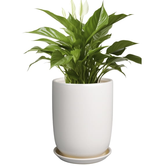 Ordivic 8 inch White Ceramic Planter with Drainage Hole – Round Cylinder Flower Pot for Indoor & Balcony Houseplants, Minimalist Home Decor