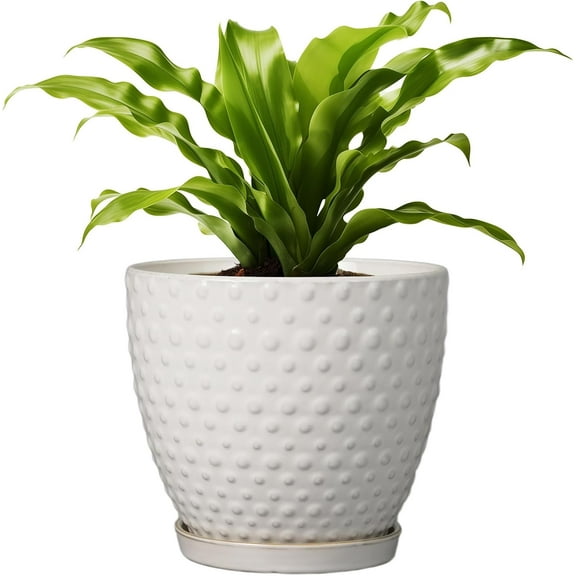 8 Inch White Round Ceramic Plant Pot - Modern Planter with Drainage Hole & Saucer for Indoor/Outdoor Plants