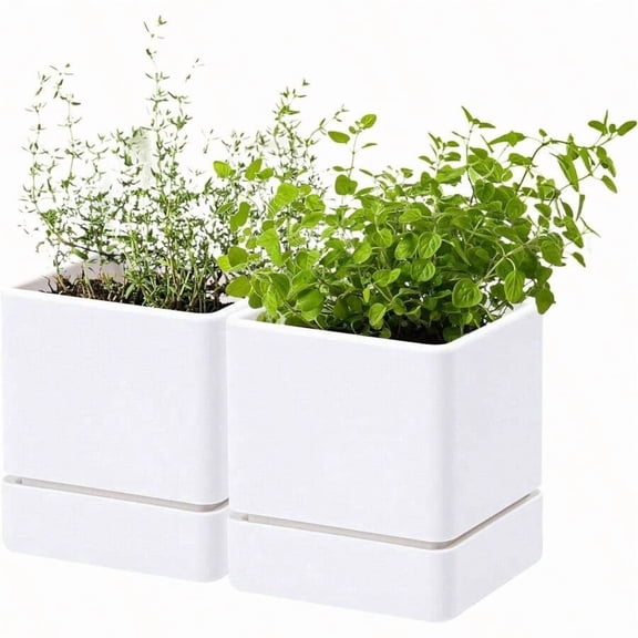 8 Inch X 4.5 Inch White Square Plastic Herb Planter Set With Drainage Holes And Saucers, Modern Indoor Garden Pot
