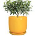 thumbnail image 1 of Ordivic 8 inch Yellow Decorative Ceramic Planter with Drainage Hole & Saucer, Medium Indoor Snake Plant Pot for African Violet, Ficus,Balcony,Hallway,Floor Decor, 1 of 8