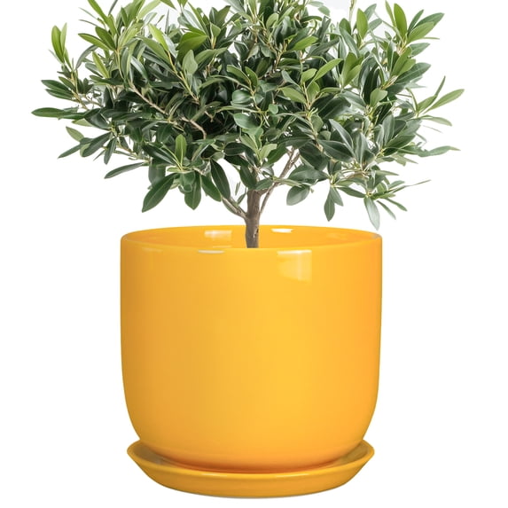 Ordivic 8 inch Yellow Decorative Ceramic Planter with Drainage Hole & Saucer, Medium Indoor Snake Plant Pot for African Violet, Ficus,Balcony,Hallway,Floor Decor