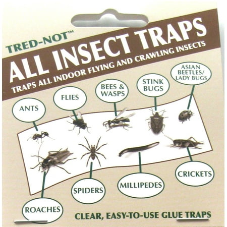 8 pk Economy All Insect Traps Glue Boards Window Strips Fly Bees Wasps Asian Beetles