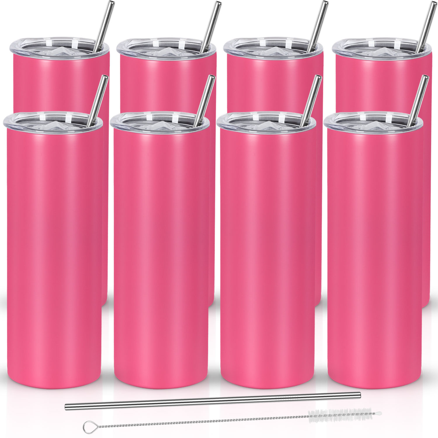 Ezprogear 20 Oz Stainless Steel Skinny Insulated Tumbler - With 2 Straws, Brush & Lid