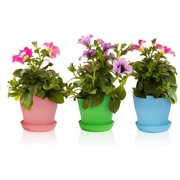 8 Pack 4.7" Multicolored Plastic Flower Plant Pots Thickened Seedlings Nursery Pot Planter with Saucer Pallet