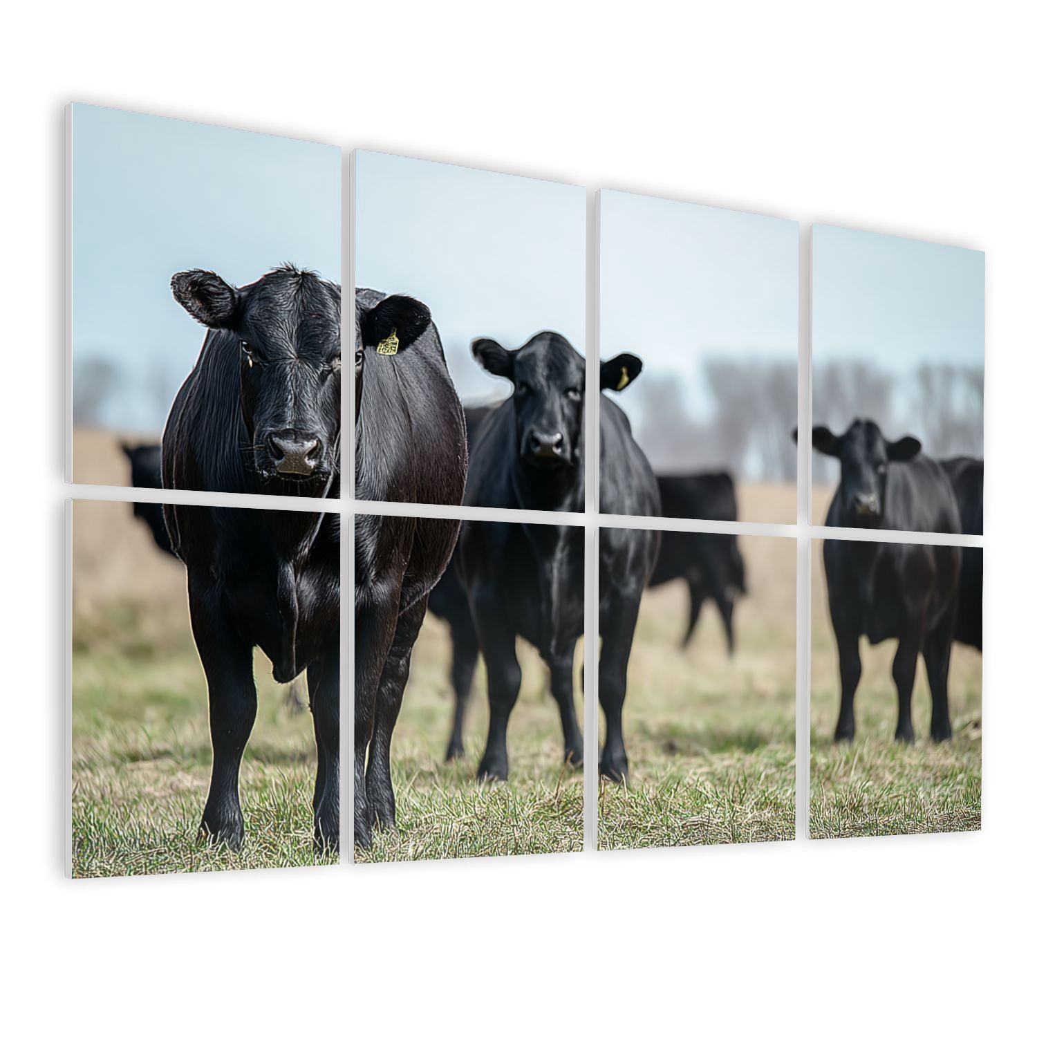 8 Pack Art Acoustic Panels Sound Absorbing Black Angus Cattle Decorative Soundproof Wall Panels Self Adhesive for Nursery Game Room Bedroom 48"x32"