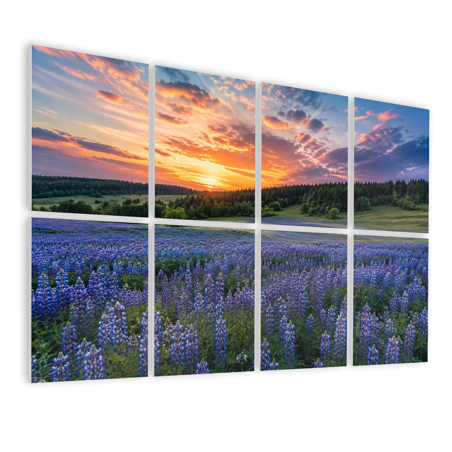 8 Pack Art Acoustic Panels Sound Absorbing Bluebonnets TX Decorative Soundproof Wall Panels Self Adhesive for Nursery Game Room Bedroom 48"x32"