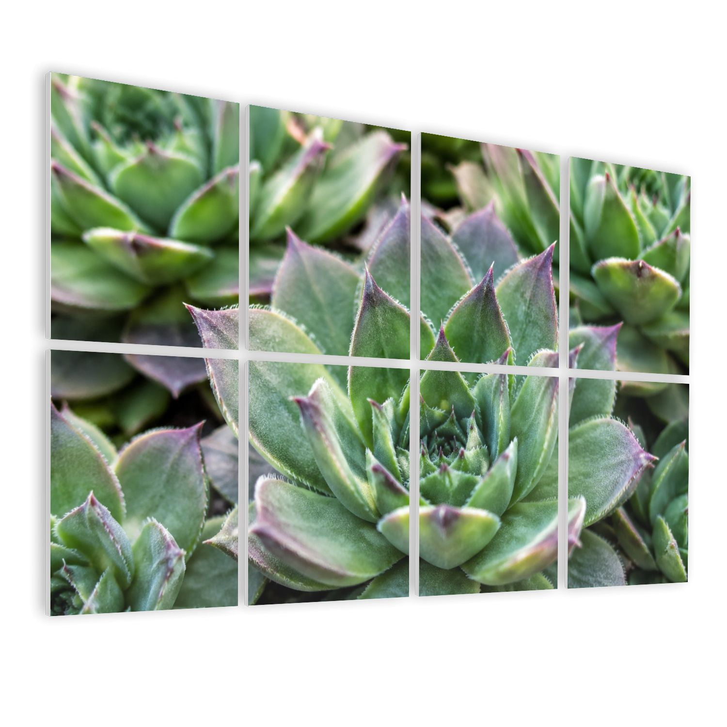 8 Pack Art Acoustic Panels Sound Absorbing Succulent plants set Decorative Soundproof Wall Panels Self Adhesive for Nursery Game Room Bedroom 48"x32"