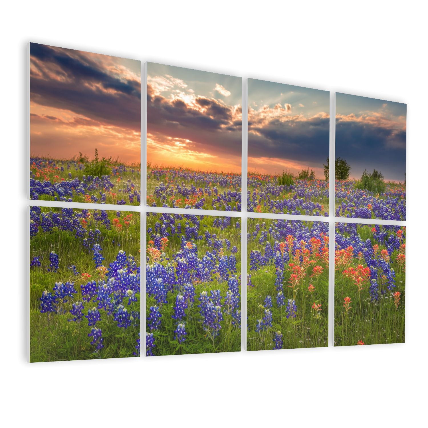 8 Pack Art Acoustic Panels Sound Absorbing Texas bluebonnets Indian Paintbrush wildflower field Decorative Soundproof Wall Panels Self Adhesive for Nursery Game Room Bedroom 48"x32"