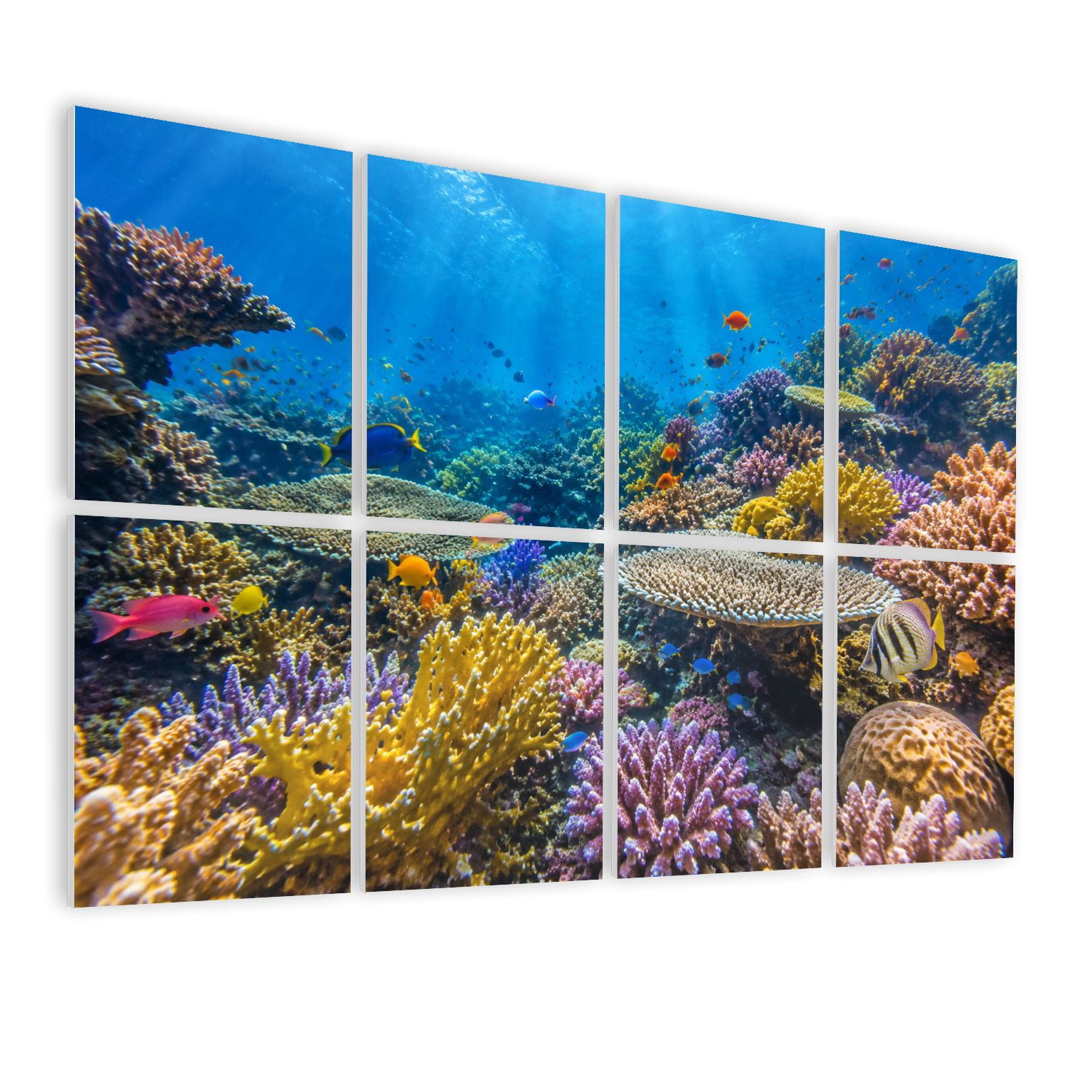 8 Pack Art Acoustic Panels Sound Absorbing Tropical Fish Decorative Soundproof Wall Panels Self Adhesive for Nursery Game Room Bedroom 48"x32"