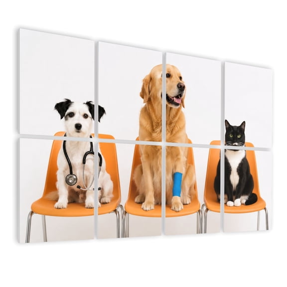 8 Pack Art Acoustic Panels Sound Absorbing animals vet funny dogs pictures Decorative Soundproof Wall Panels Self Adhesive for Nursery Game Room Bedroom 48"x32"