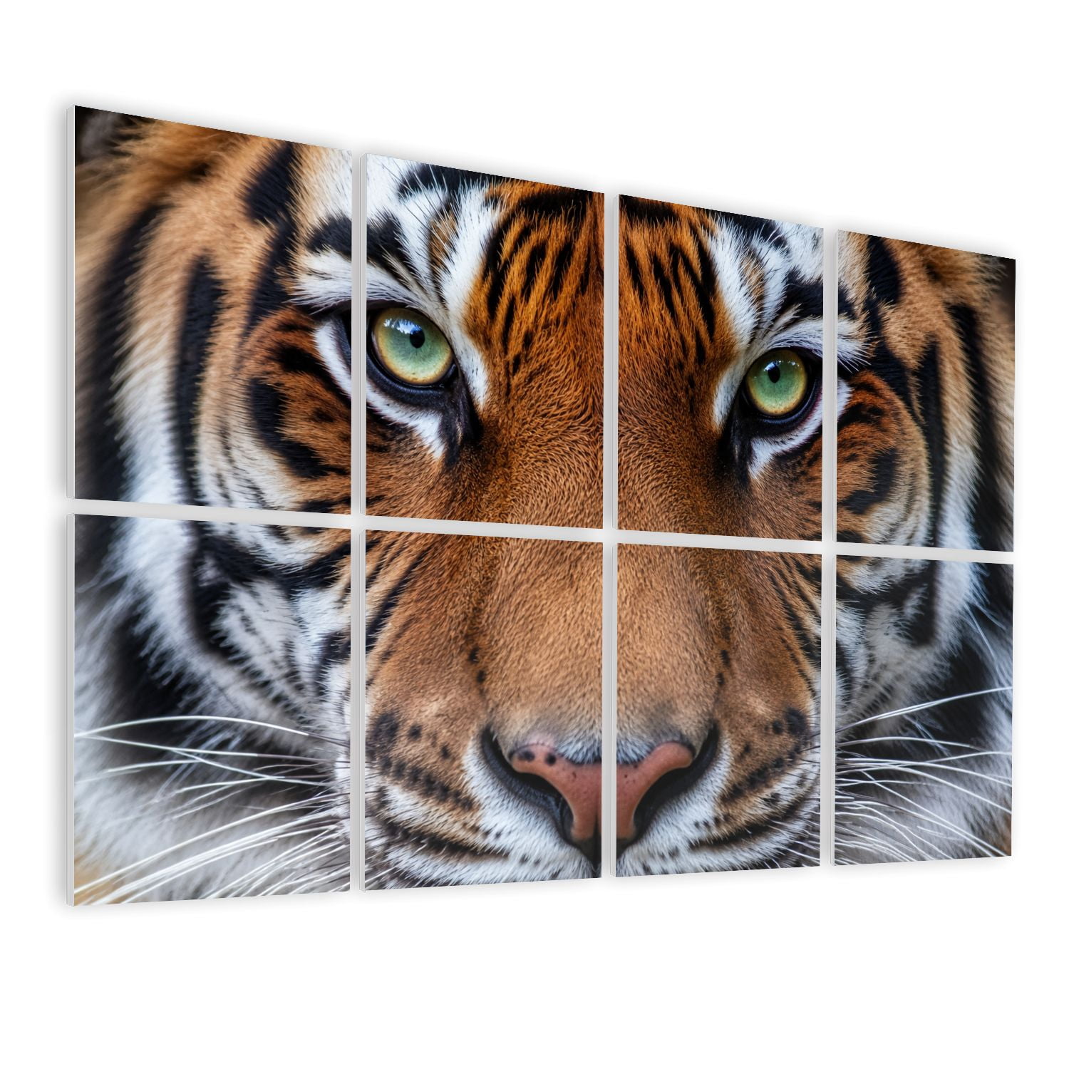 8 Pack Art Acoustic Panels Sound Absorbing eyes tiger Decorative Soundproof Wall Panels Self Adhesive for Nursery Game Room Bedroom 48"x32"