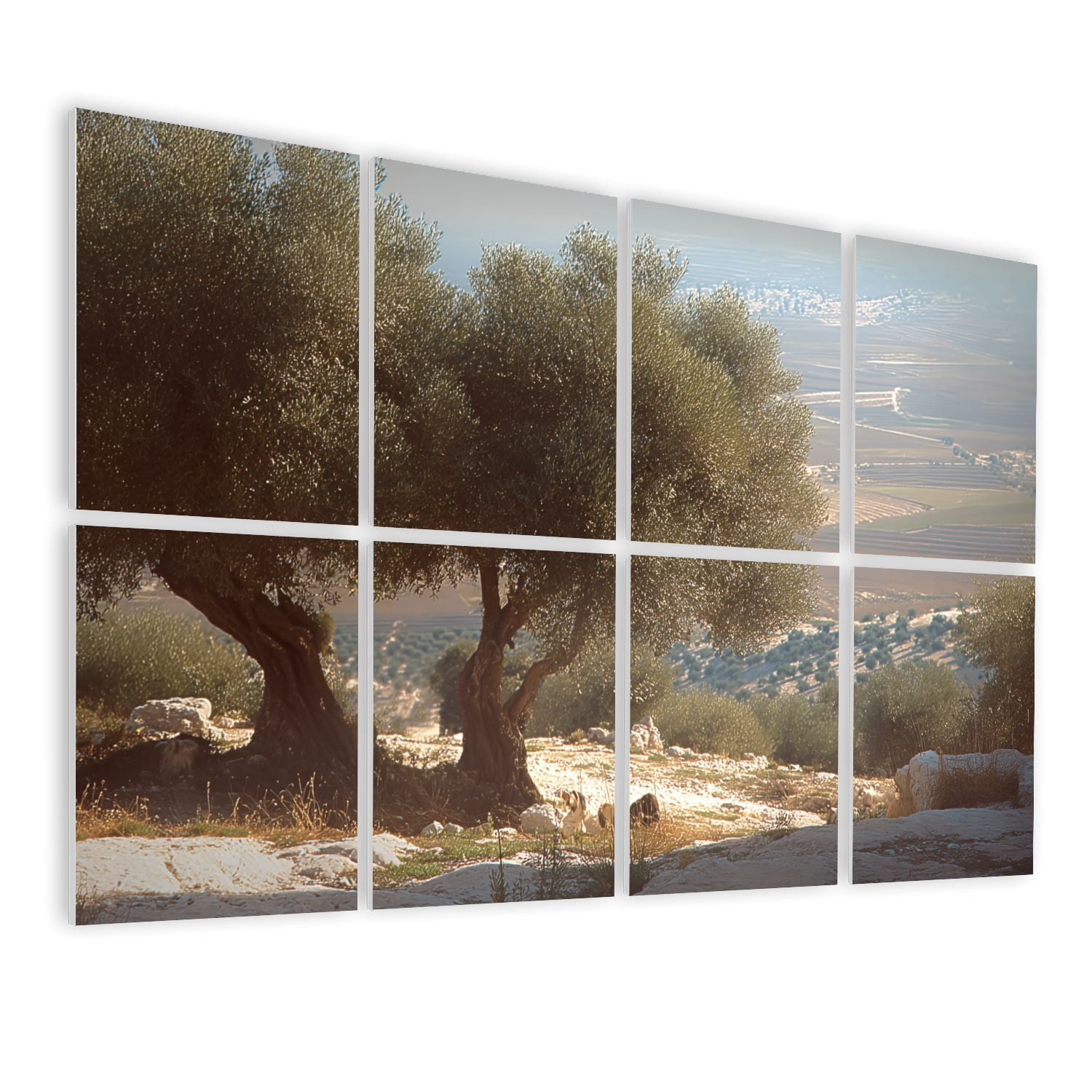 8 Pack Art Acoustic Panels Sound Absorbing landscape olive trees palestine olives Decorative Soundproof Wall Panels Self Adhesive for Nursery Game Room Bedroom 48"x32"