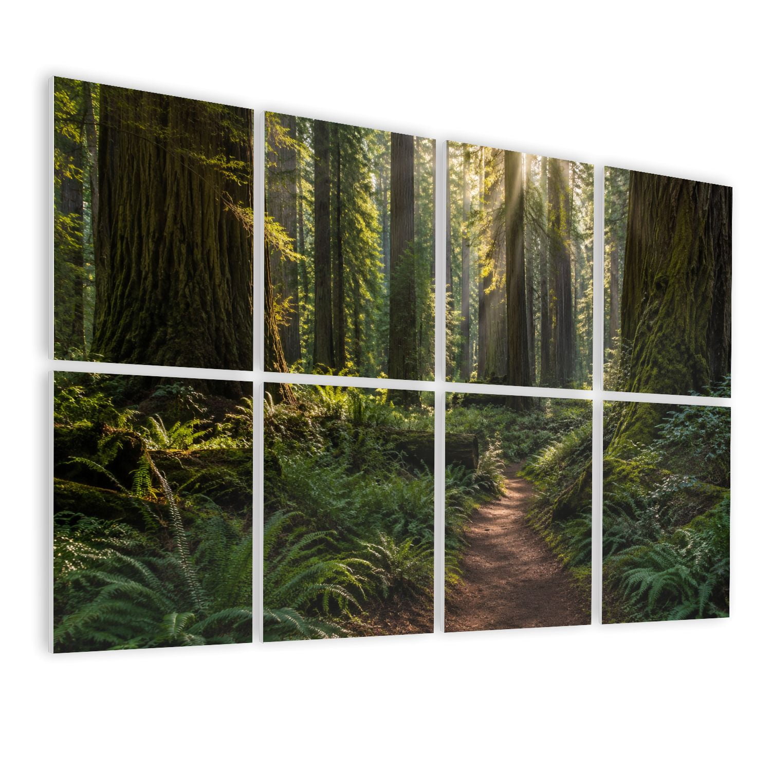 8 Pack Art Acoustic Panels Sound Absorbing redwood trail trees forest sequoiass pictures Decorative Soundproof Wall Panels Self Adhesive for Nursery Game Room Bedroom 48"x32"