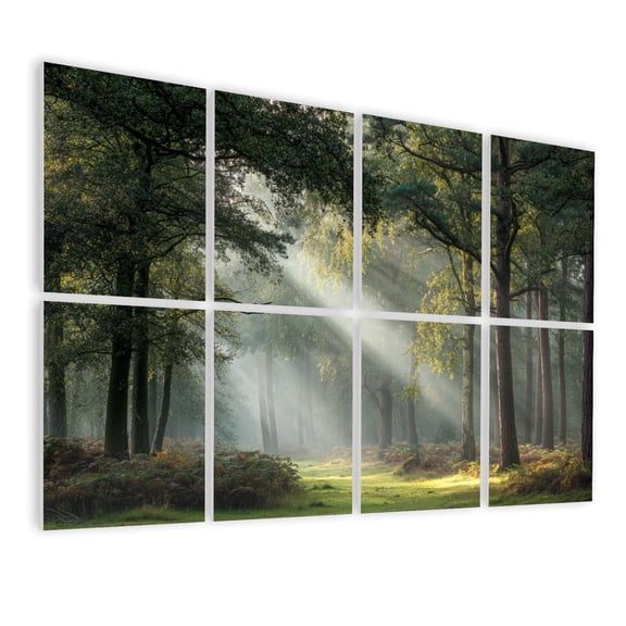 8 Pack Art Acoustic Panels Sunshine Forest Landscape Tree Nature Scenery Tall Slender Trees Decorative Soundproof Wall Panels Self Adhesive for Living Room Home Office 48"x32"