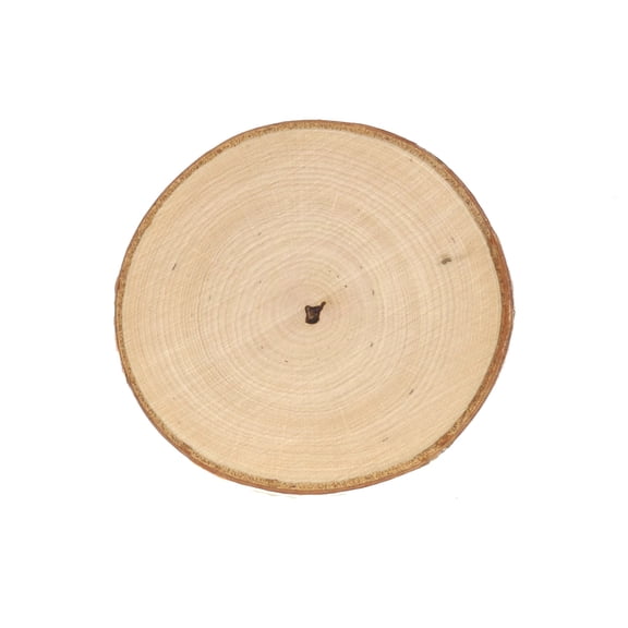 8 Pack: Birch Base Coaster by Make Market