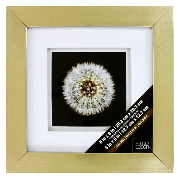 Studio Decor Champagne Gallery Frame with Double Mat, 8 Pack