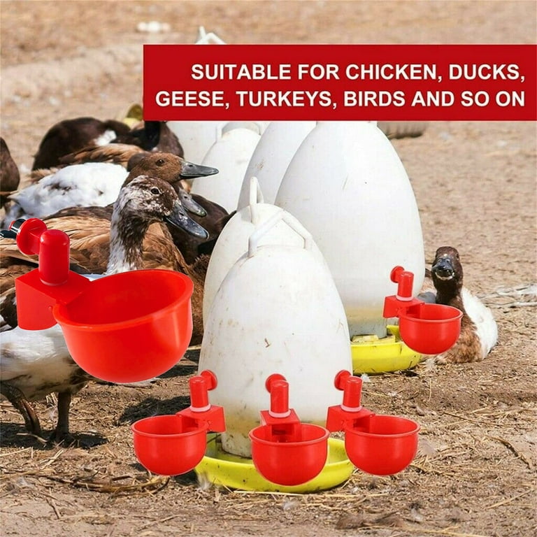 5-Pack Automatic Chicken Waterer Cups - 3/8 Inch Thread, Gravity Fed For Chickens, Ducks, Birds, Rabbits