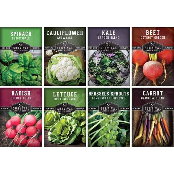 Fall & Winter Garden Seeds 8 Variety Pack - Cool-Weather Vegetables - Full Sun Biennial
