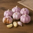thumbnail image 1 of 8 Pack Fresh Red Hardneck Garlic Bulbs – Great for Planting, Growing Your Own Garlic, or Cooking – Non-GMO & Organic, 1 of 5
