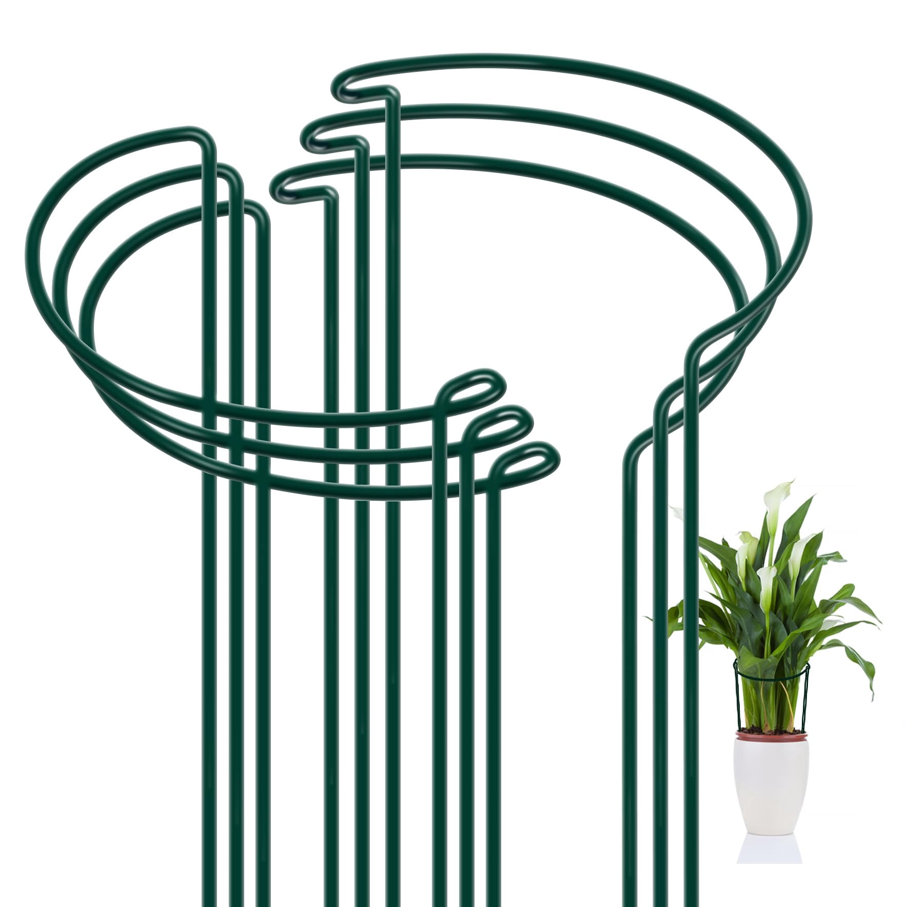 8 Pack Garden Plant Support Stakes, Metal Half Round Plant Rings - Durable Tomato, Hydrangea and Outdoor Indoor Plant Cages 10" x 16" Green