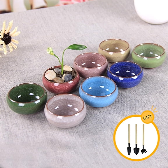 8 Pack Mini Succulent Planter Pot, Ceramic Ice Crack Cactus Seed Starter Pots with Mini Gardening Tools, Micro Landscape Planter with Drainage Hole & Bamboo Tray for Moss Plant, Succulent, Herb