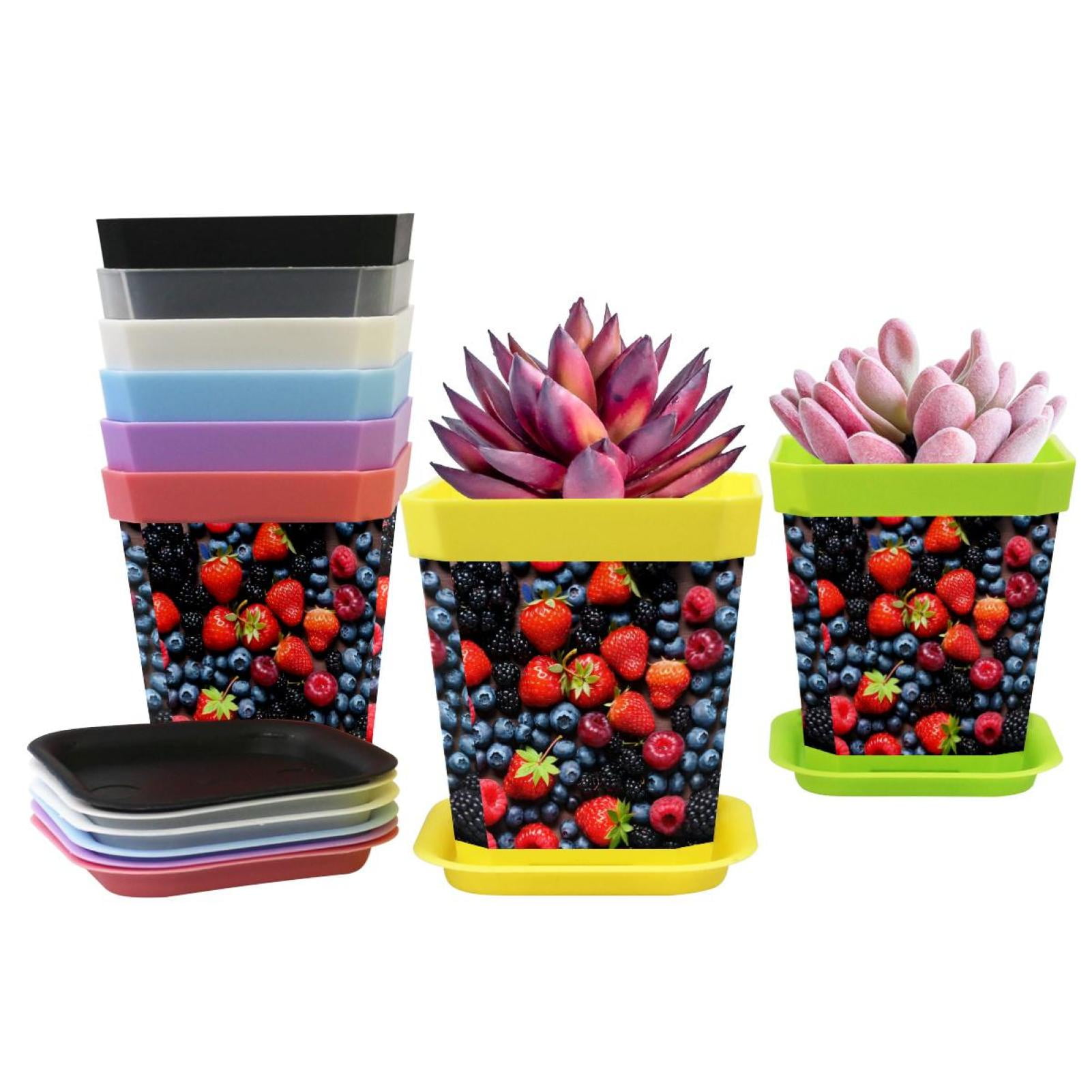 8 Packed，Fruit strawberries,Plant pots,Indoor plant pots,Mini pots for ...