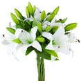 thumbnail image 1 of 8 Pcs Artificial Tiger Lily Real Touch Lily Easter Lily Fake Spring Flowers for Wedding Home Party Easter Decoration Plastic Lily Faux Flowers (White, 8), 1 of 8