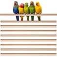 Gallery image with a fresh perspective