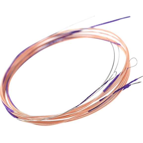 Set of 2 Pipa Strings Practical Lute Sustained Sound