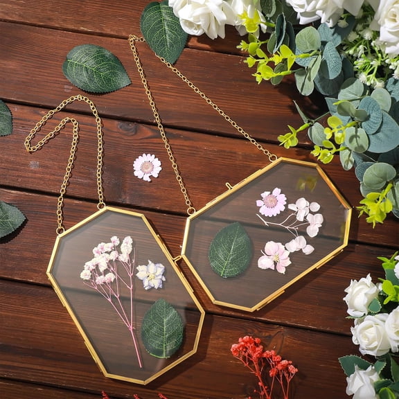 8 Pcs Octagon Glass Pressed Flower Frame 5 x 7 inches Double Clear Hanging Floating Frame with Chain Gold Geometric Herbarium Glass wall Picture for Dried Flower Plants Home  Wall Decor