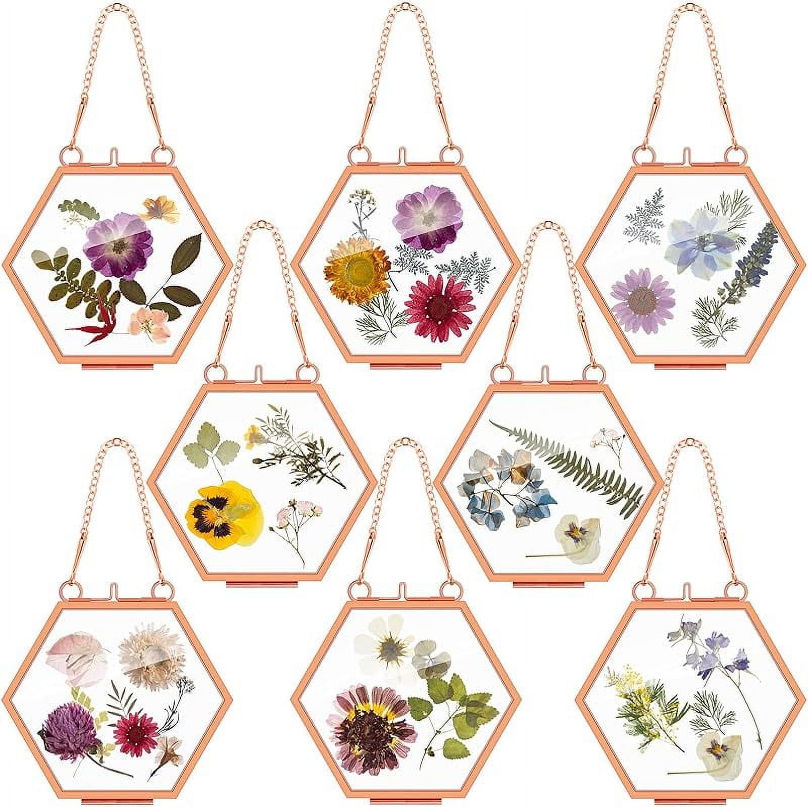8 Pcs Pressed Flower Frames - 4x3 Inch Rose Gold Hanging Glass Display Frames 4 thumbnail image