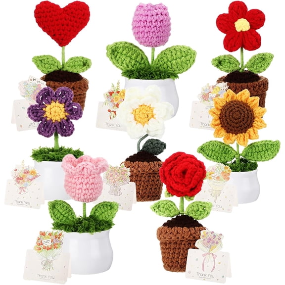 8 Pcs Valentine's Day Crochet Flower Pot Bulk Thank You Gift Mini with Greeting Card Floral Potted Knitted Plant Bouquet for Women Birthday Office Desk Decor