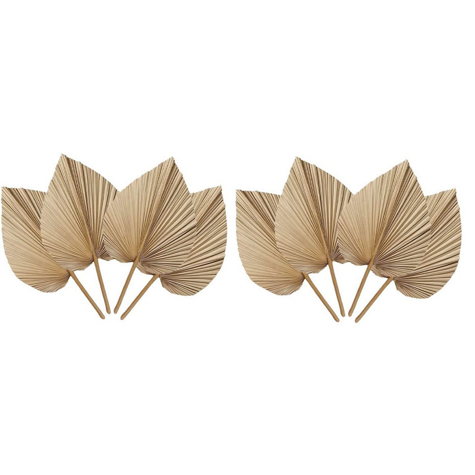 8 Pieces Natural Dried Palm Leaves are Perfect for Palm Leaf Decor
