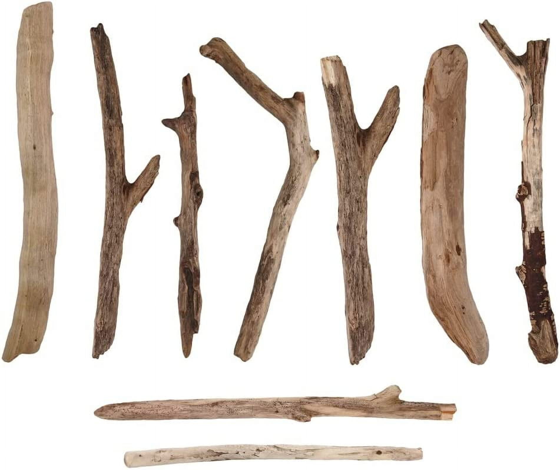 8 Pieces of Driftwood, 12-18 Inch Pieces - Vase Filler, Table Decor, Hard to Find, Hand Picked, Wedding, Venue Decor, Macrame